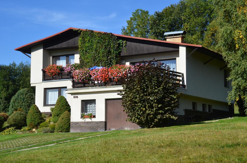 Apartmán Braun Rokytnice nad Jizerou Quarto foto